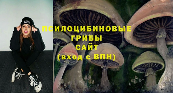 марки nbome Алексеевка