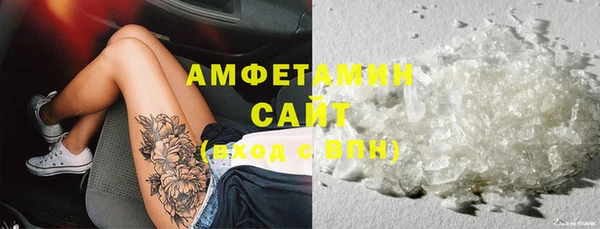 ешки Алексин