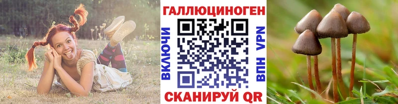 Галлюциногенные грибы прущие грибы  ОМГ ОМГ ссылки  Копейск 