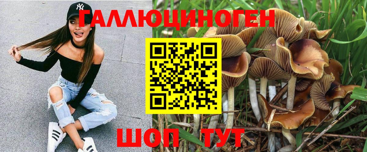 Копейск  Псилоцибиновые грибы ЛСД  Вход с VPN 
