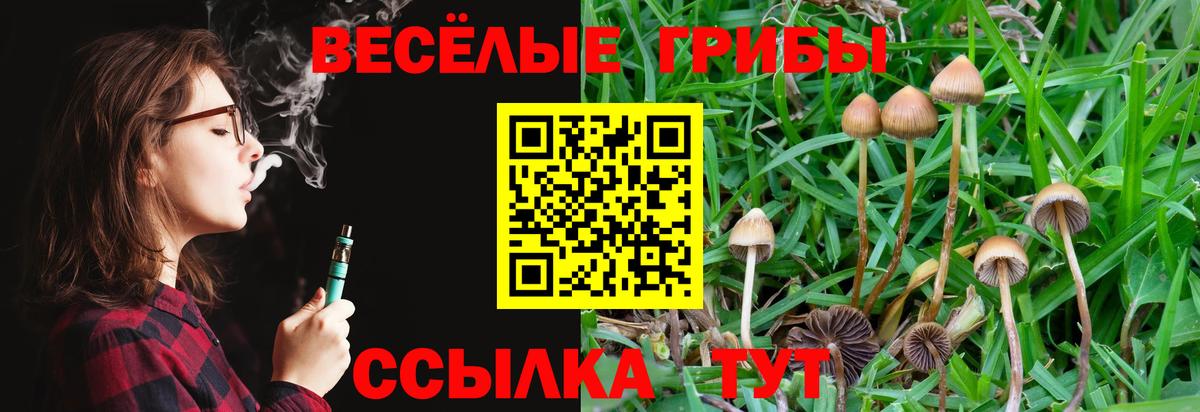 МАРИХУАНА  Вход с VPN  Копейск  COCAIN  ГАШИШ  Мефедрон   Экстази 